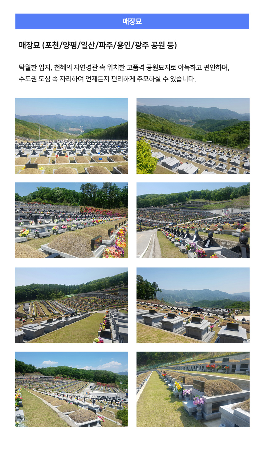 묘지이장